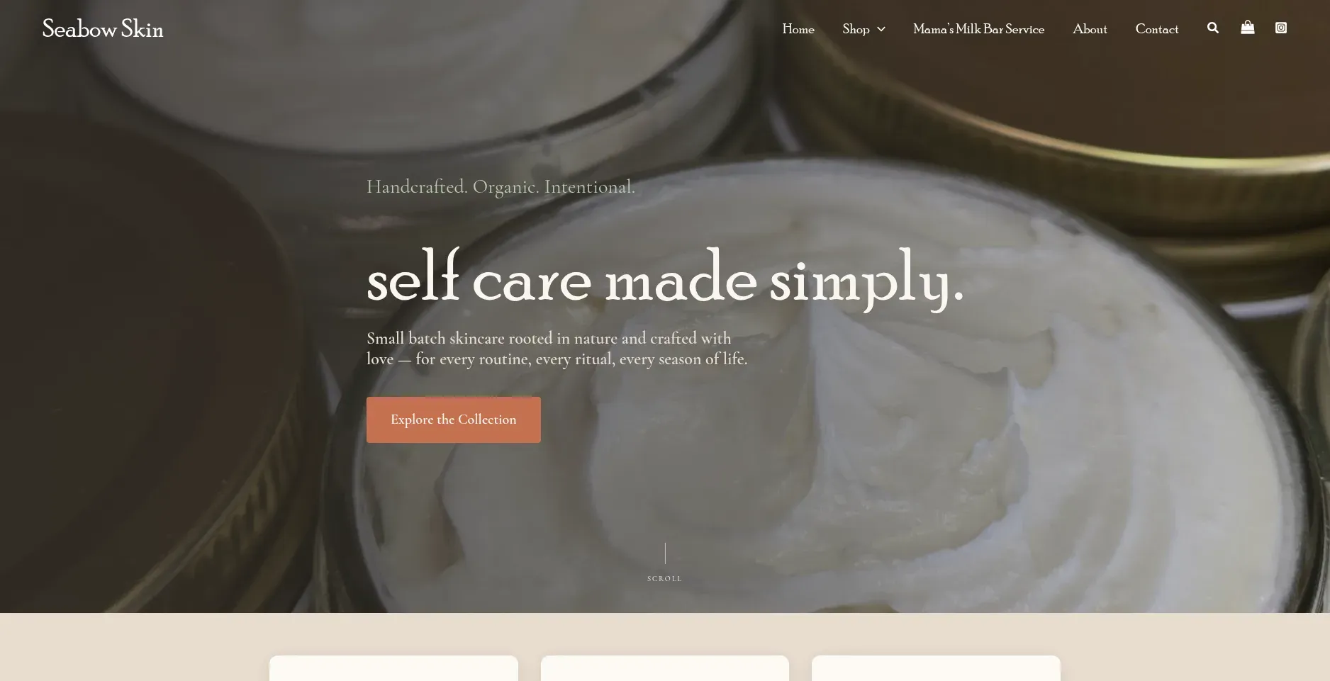 Seabowskin.com website by Twining Original Design