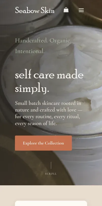 Mobile-friendly skincare e-commerce website design