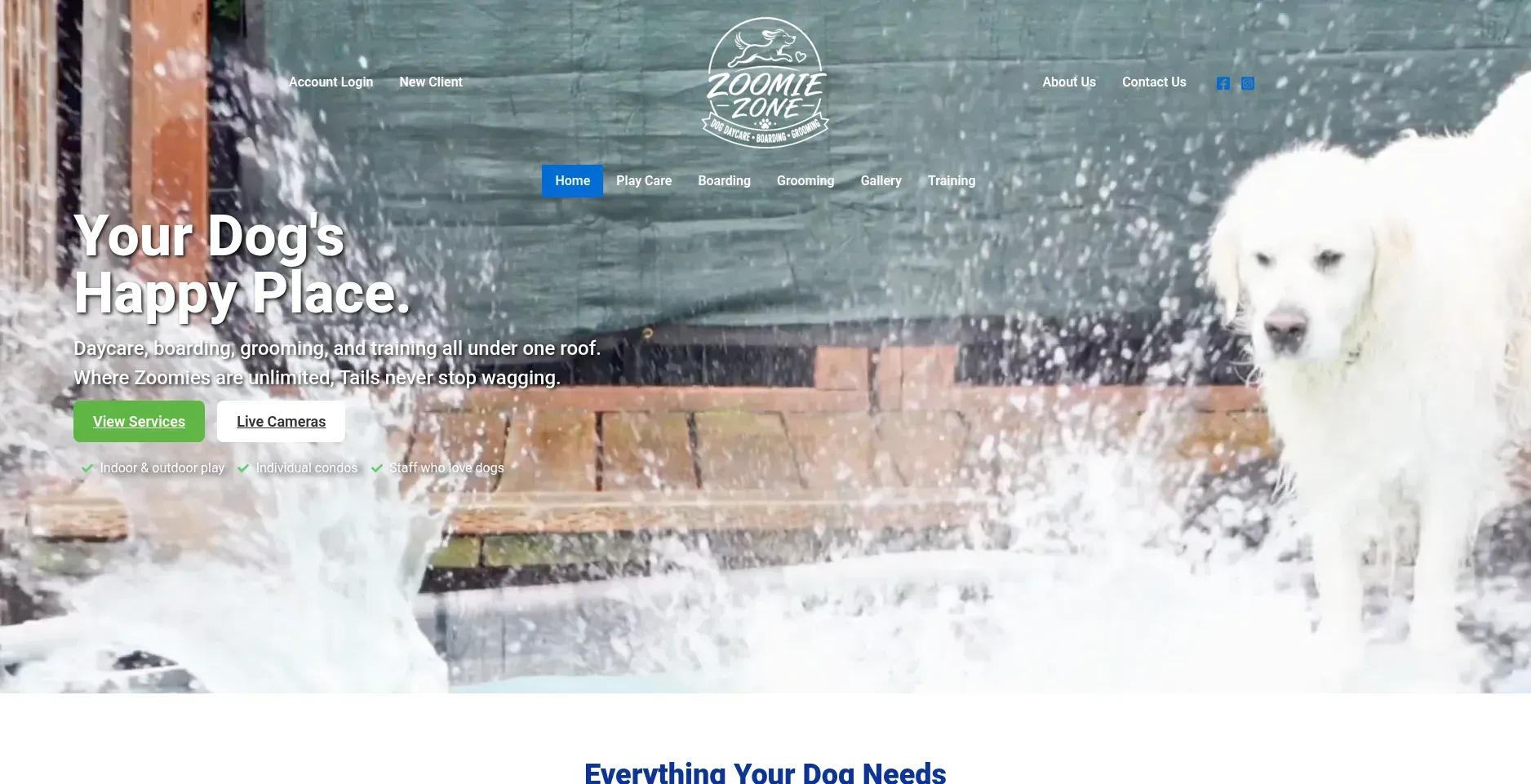Zoomiezonedogdaycare.com website by Twining Original Design
