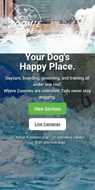 Mobile-friendly dog daycare website design